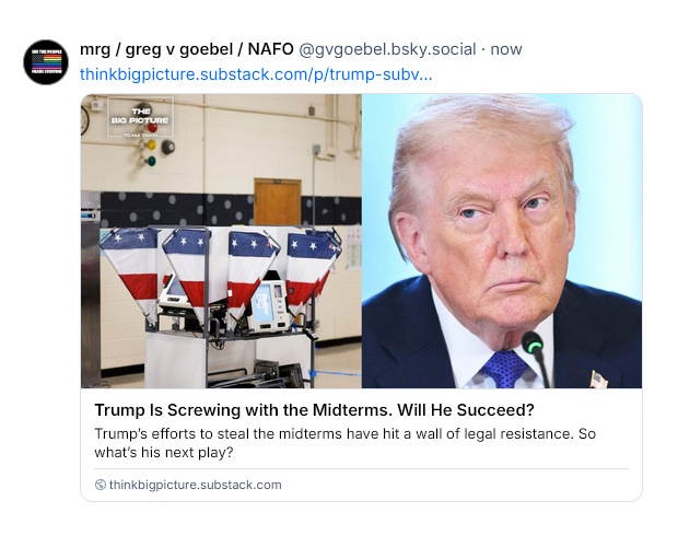 Trump election cheating