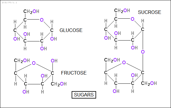 sugars