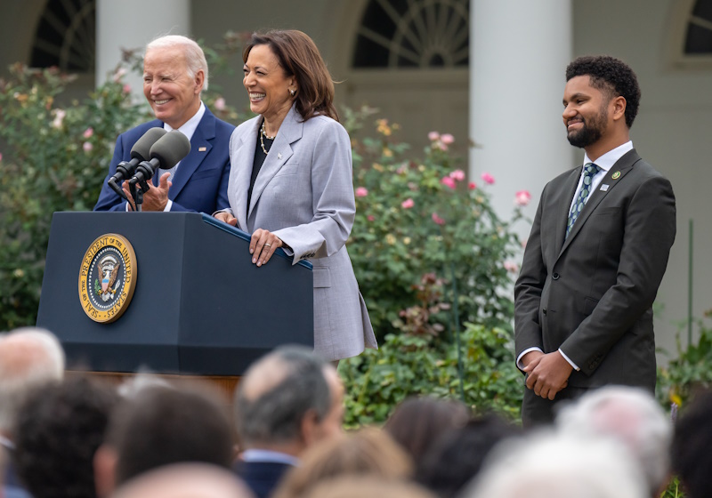establish gun violence prevention